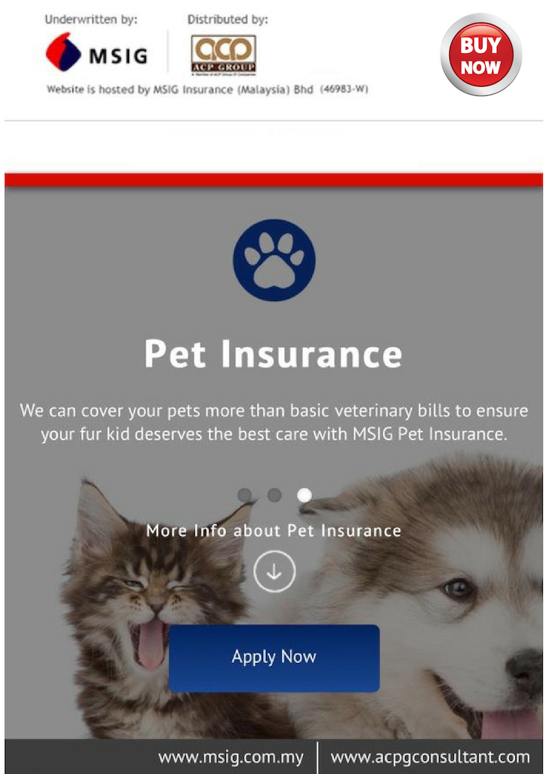 Msig Pet Insurance Online Instant Purchase Link And Enquiry Form