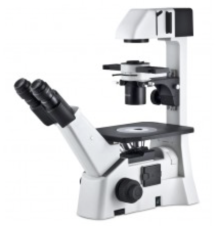 AE30 Inverted Microscopes